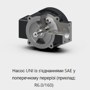 ПРОМИСЛОВІ НАСОСИ RICKMEIER UNI 0000526 фото